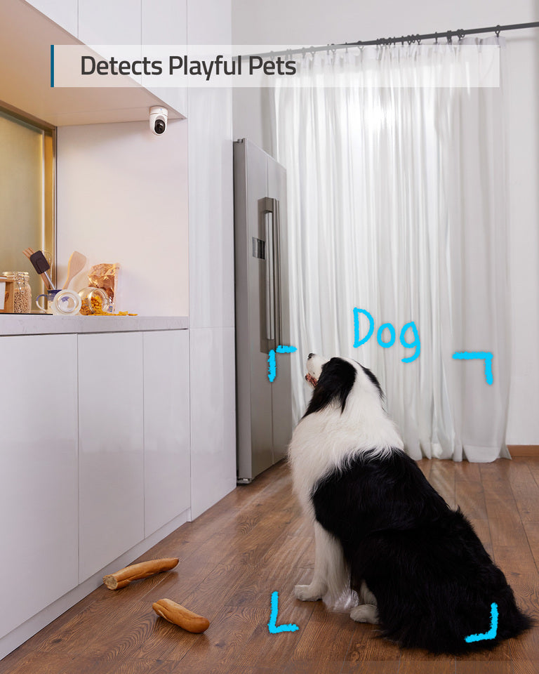 Indoor Cam E220
